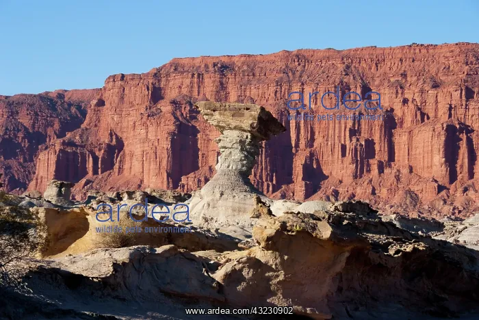 : Argentina, Provinca La Rioja, stone formation : Argentina, Provinca La Rioja, stone formation
