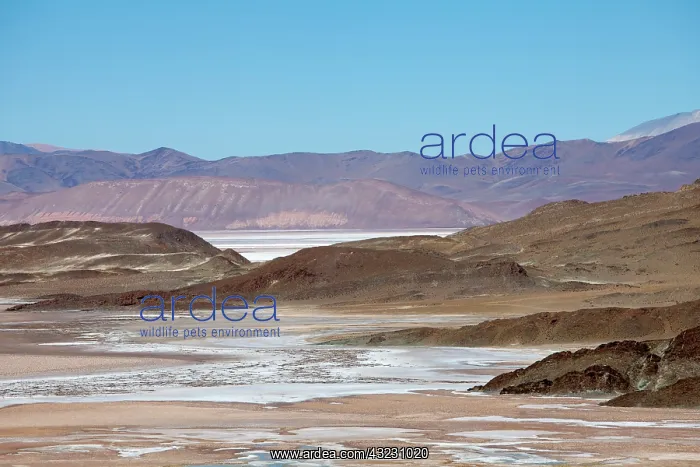 : Argentina, Province Catamarca, region Antofagasta : Argentina, Province Catamarca, region Antofagasta