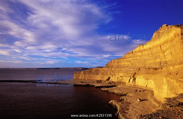 : Argentina - Punta Piramide at sunset : Argentina - Punta Piramide at sunset