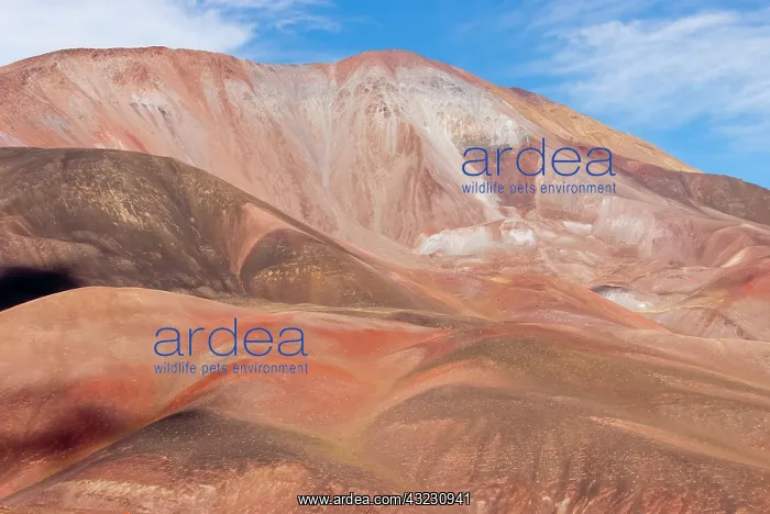  : Argentina, region Laguna Brava, Province