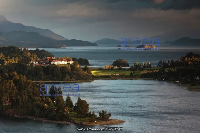 : Argentina, Rio Negro Province, Lake District : Argentina, Rio Negro Province, Lake District