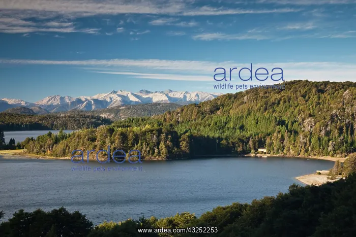 : Argentina, Rio Negro Province, Llao Llao : Argentina, Rio Negro Province, Llao Llao