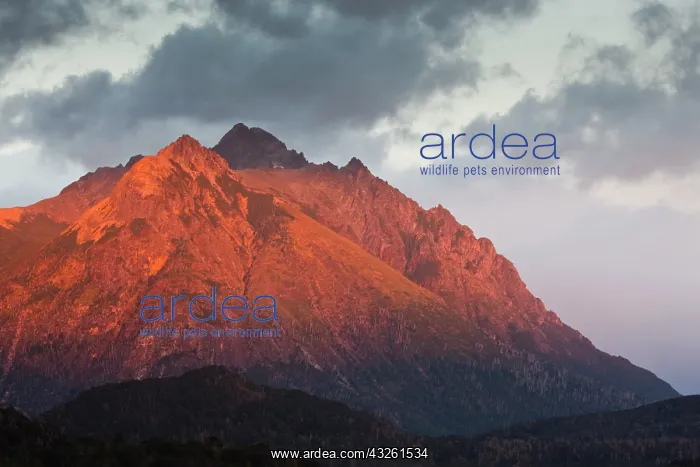 : Argentina, Rio Negro Province, Llao Llao : Argentina, Rio Negro Province, Llao Llao