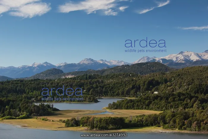 : Argentina, Rio Negro Province, Llao Llao : Argentina, Rio Negro Province, Llao Llao