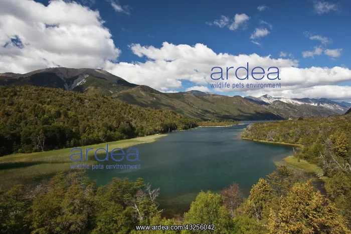 : Argentina, Rio Negro Province, Villa Mascardi : Argentina, Rio Negro Province, Villa Mascardi