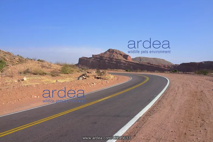 : Argentina, Salta : Argentina, Salta