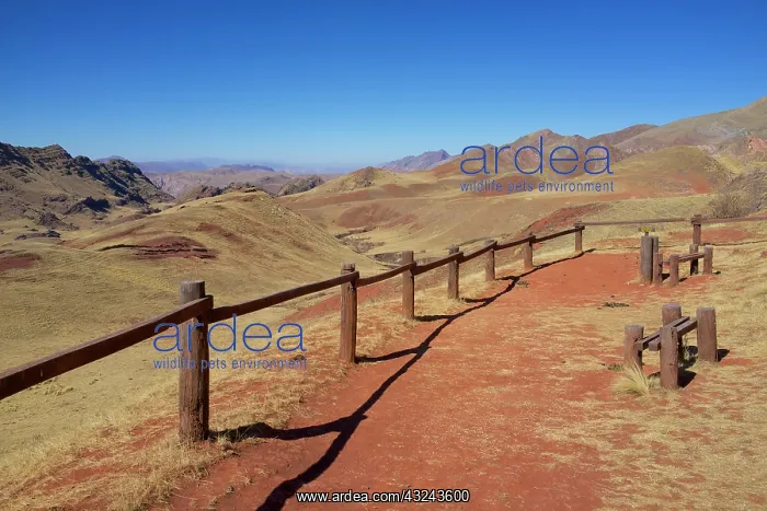 : Argentina, Salta, Cuesta del Obispo pass : Argentina, Salta, Cuesta del Obispo pass