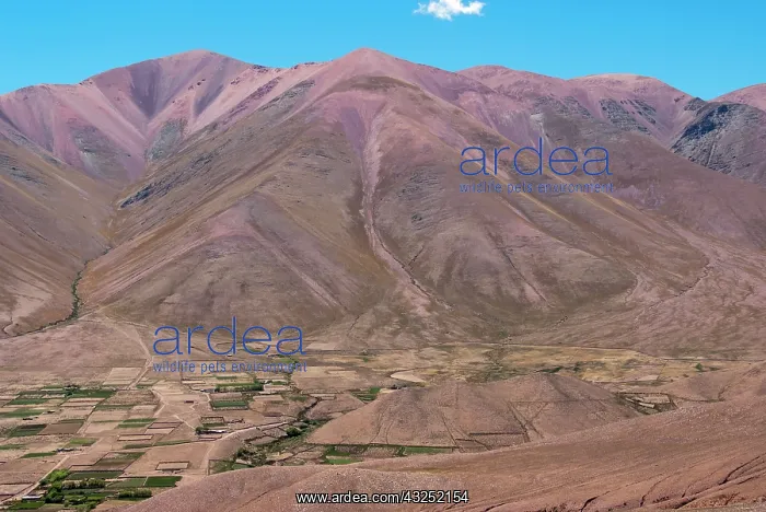 : Argentina, Salta, Iruya, colorful Andes : Argentina, Salta, Iruya, colorful Andes