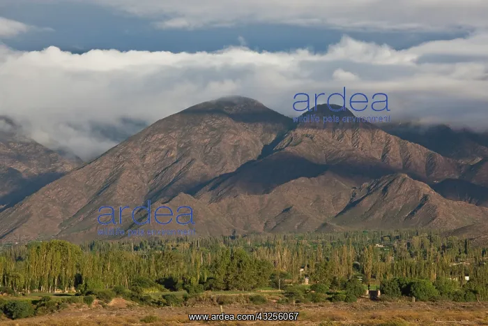 : Argentina, Salta Province, Cachi. Cumbres : Argentina, Salta Province, Cachi. Cumbres