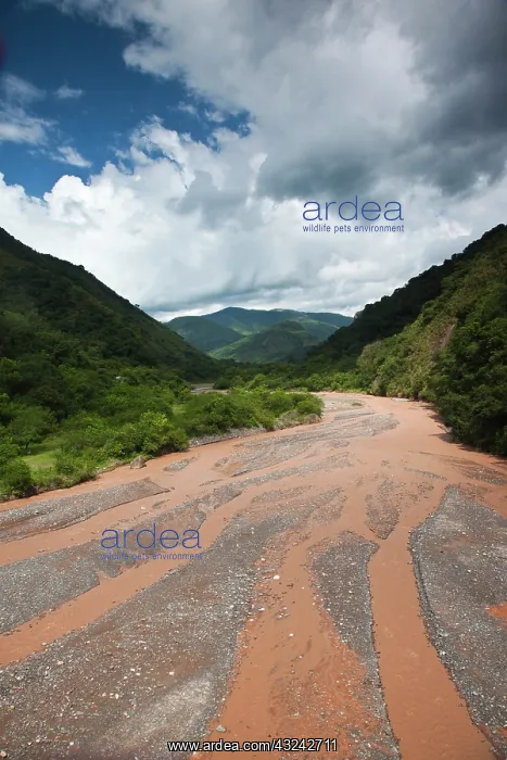 : Argentina, Salta Province, Chicoana. Rio : Argentina, Salta Province, Chicoana. Rio