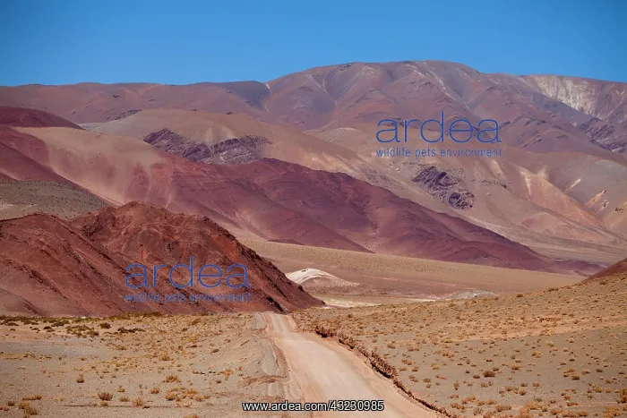 : Argentina, Salta Province, Los Colorados : Argentina, Salta Province, Los Colorados