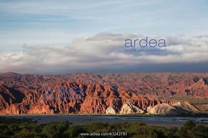: Argentina, Salta Province, San Carlos. Last : Argentina, Salta Province, San Carlos. Last