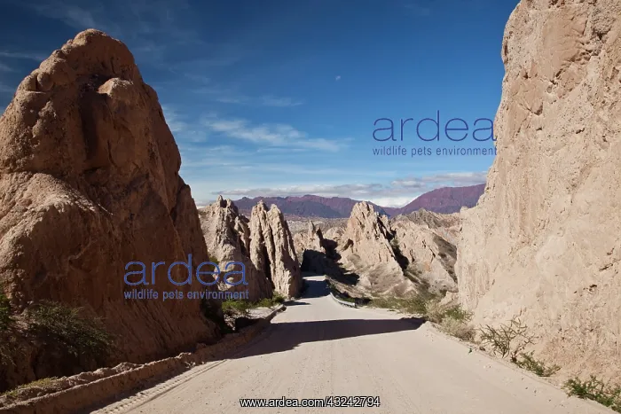: Argentina, Salta Province, Valles Calchaquies : Argentina, Salta Province, Valles Calchaquies