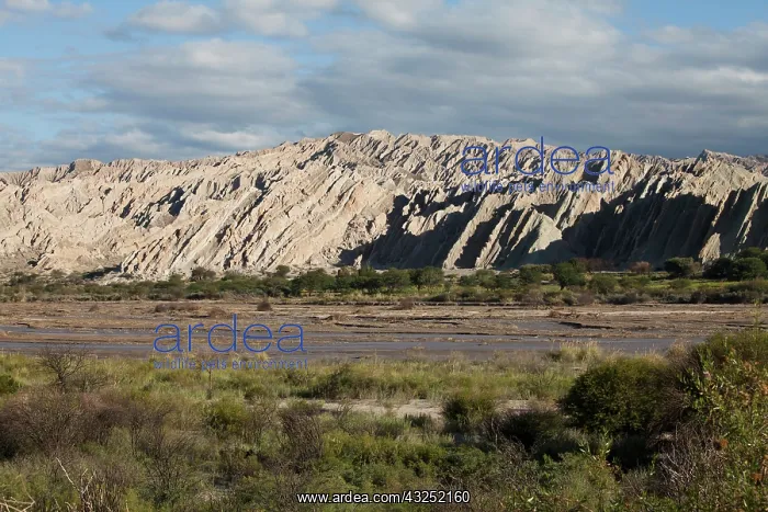 : Argentina, Salta, region Cachi, evening : Argentina, Salta, region Cachi, evening