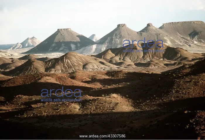 : ARGENTINA - Santa Cruz Province : ARGENTINA - Santa Cruz Province