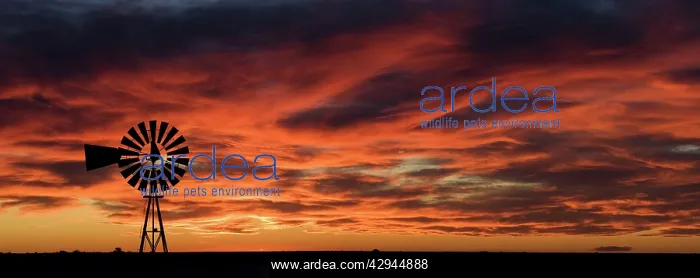 : Argentina - windmill on the Patagonian steppe at : Argentina - windmill on the Patagonian steppe at