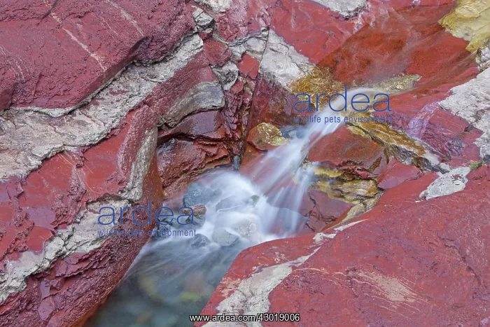  : Argillite sedimentary mineral layers