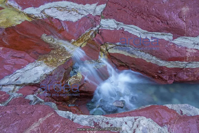  : Argillite sedimentary mineral layers