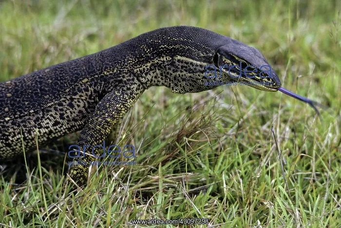 : Argus Monitor : Argus Monitor
