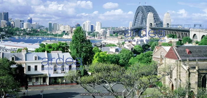 : Argyle Place and Holy Triity Church, The Rocks : Argyle Place and Holy Triity Church, The Rocks