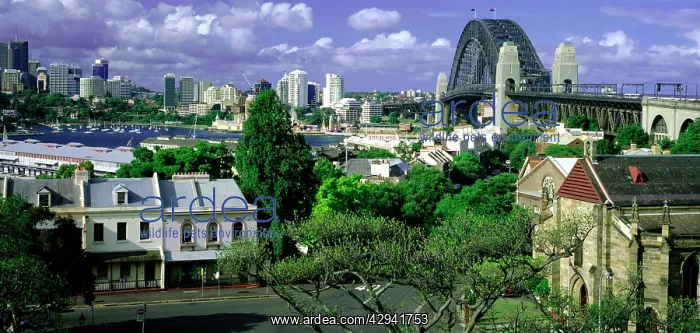 : Argyle Place and Holy Triity Church, The Rocks : Argyle Place and Holy Triity Church, The Rocks