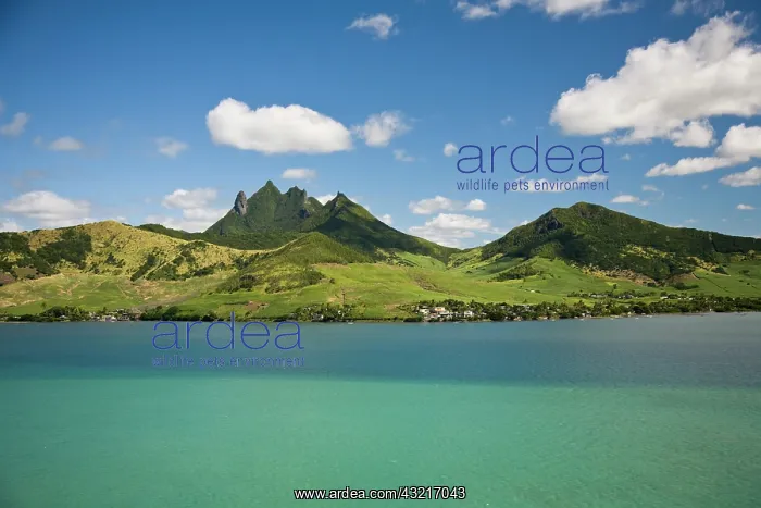 : Arial view of Lion Mountain, South East : Arial view of Lion Mountain, South East