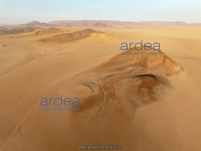 : Arid plains, and bare mountain ridges in the Tsondab Valley in the Namib Desert : Arid plains, and bare mountain ridges in the Tsondab Valley in the Namib Desert