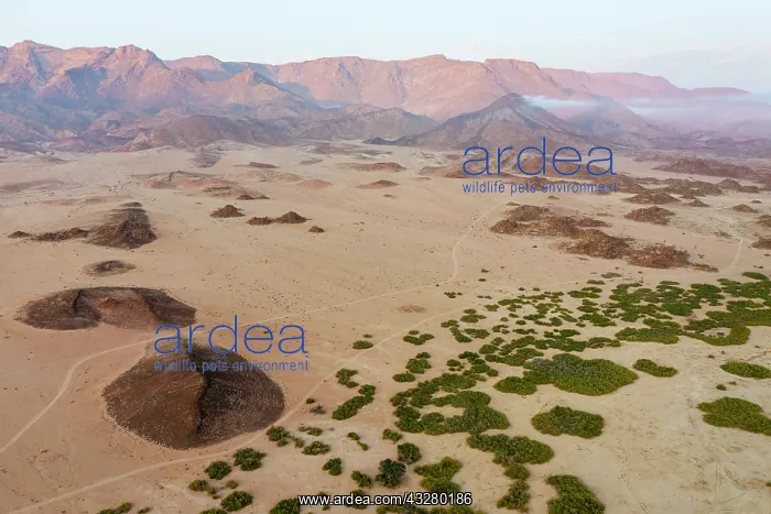  : Arid plains and the Brandberg, Namibias highest mountain. A