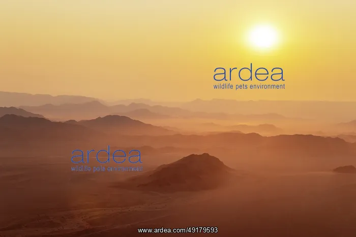 : Arid plains and isolated mountain ridges at the edge of the Namib Desert : Arid plains and isolated mountain ridges at the edge of the Namib Desert