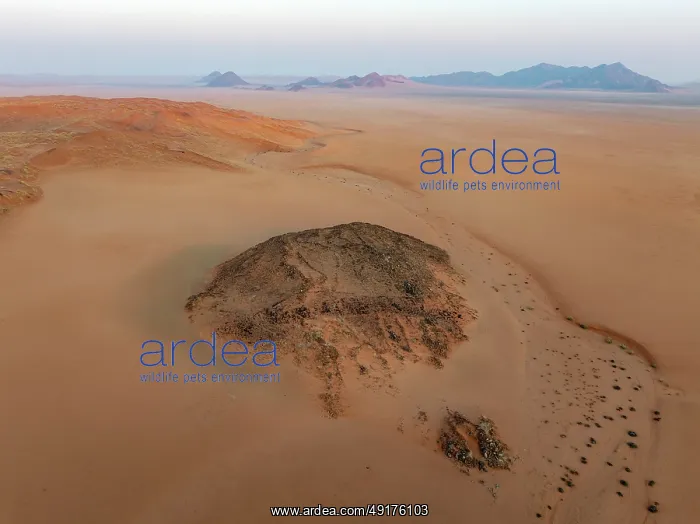 : Arid plains, sand dunes and bare mountain ridges at the edge of the Namib Desert : Arid plains, sand dunes and bare mountain ridges at the edge of the Namib Desert