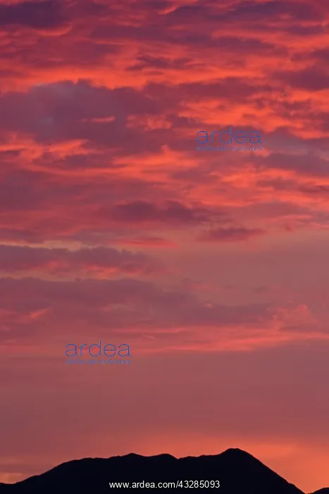 : Arizona Sunset - Sonoran Desert - Arizona USA : Arizona Sunset - Sonoran Desert - Arizona USA