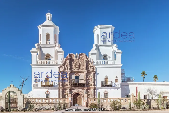 : Arizona, Tucson. San Xavier del Bac Mission Church : Arizona, Tucson. San Xavier del Bac Mission Church