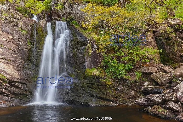 : Arklet Falls - Arklet Burn at Inversnaid flows from : Arklet Falls - Arklet Burn at Inversnaid flows from
