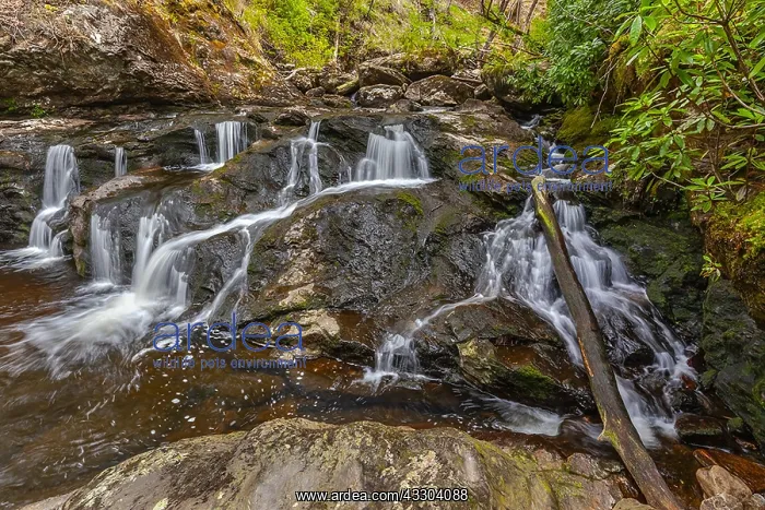 : Arklet Falls - Arklet Burn at Inversnaid flows from : Arklet Falls - Arklet Burn at Inversnaid flows from