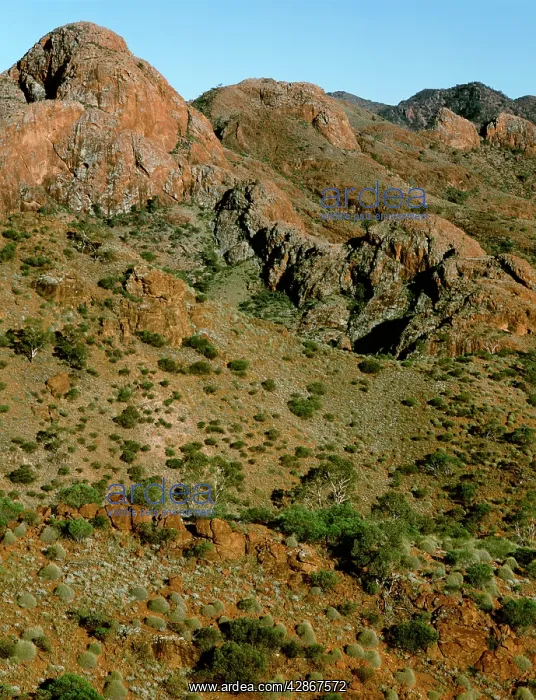: The Armchair from the Ridge Road Arkaroola-Mount : The Armchair from the Ridge Road Arkaroola-Mount