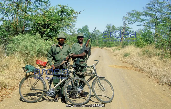 : Armed Park Wardens - patrol the park on bicycle : Armed Park Wardens - patrol the park on bicycle