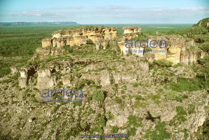 : Arnhem Land Escarpment Kakadu National Park (World : Arnhem Land Escarpment Kakadu National Park (World