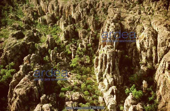 : Arnhemland Escarpment Kakadu National Park (World : Arnhemland Escarpment Kakadu National Park (World