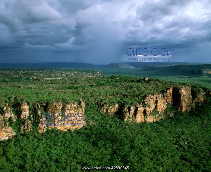 : Arnhemland Escarpment with tropical rain storm approaching : Arnhemland Escarpment with tropical rain storm approaching