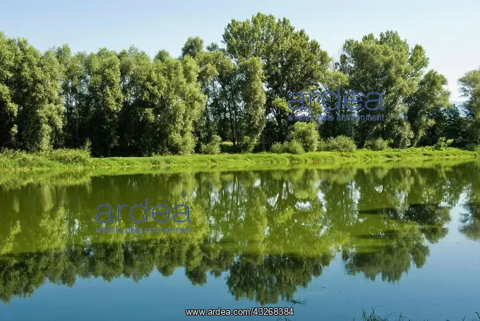 : Arno River at Ponte Buriano, Ponte Buriano : Arno River at Ponte Buriano, Ponte Buriano