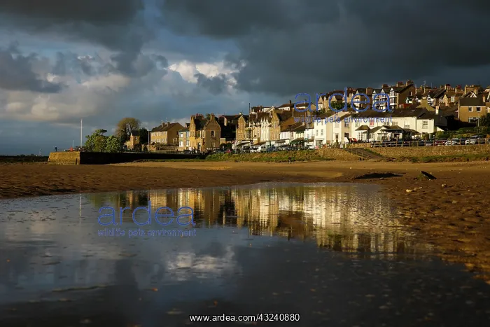  : Arnside - Kent Estuary - Cumbria - UK