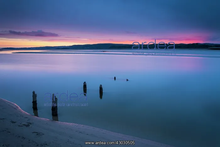 : Arnside - Kent Estuary at Sunset - Looking to Grange : Arnside - Kent Estuary at Sunset - Looking to Grange