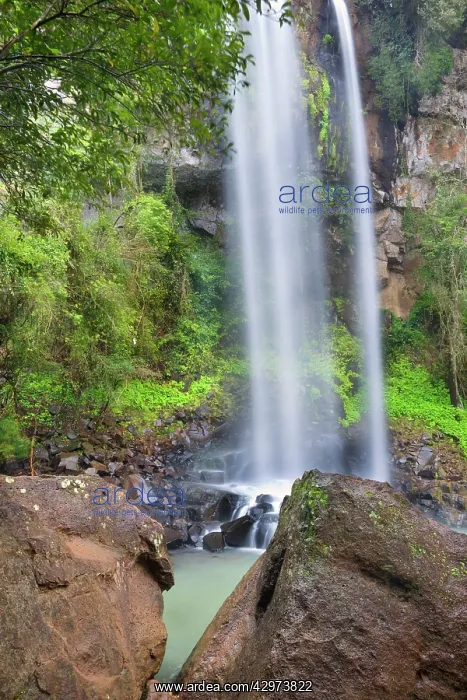 : Arrechea Falls - a small waterfall amidst dense : Arrechea Falls - a small waterfall amidst dense