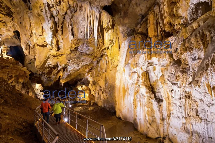 : Arrikrutz cave, Onati, Gipuzkoa, The Basque Country : Arrikrutz cave, Onati, Gipuzkoa, The Basque Country