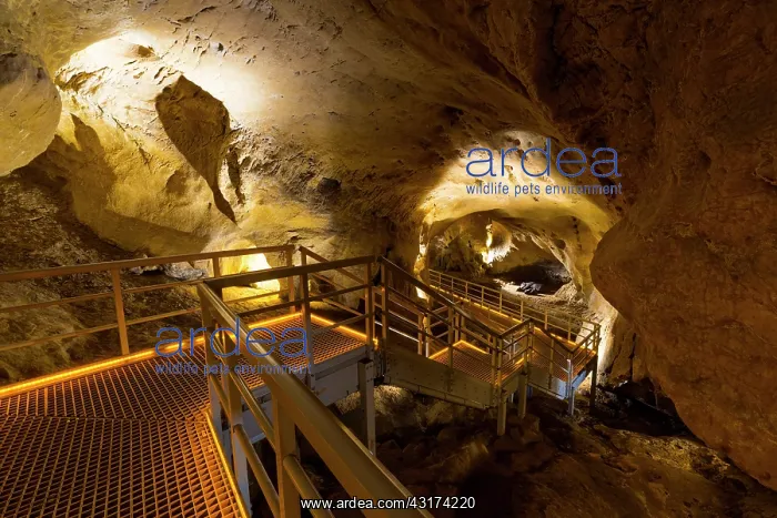 : Arrikrutz cave, Onati, Gipuzkoa, The Basque Country : Arrikrutz cave, Onati, Gipuzkoa, The Basque Country