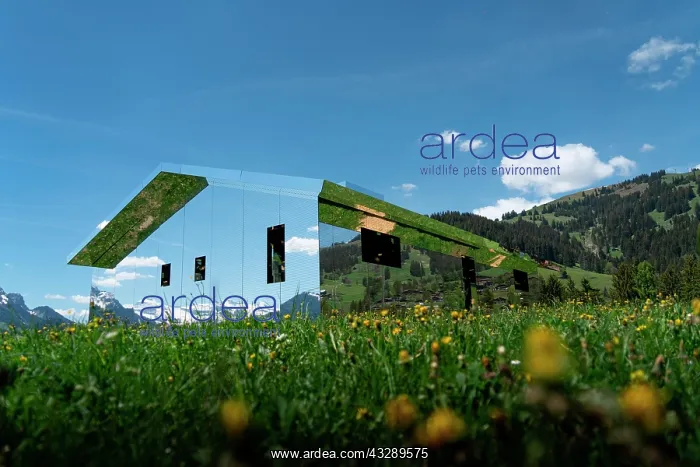 : Art Gallery Mirage Gstaad, Mirror House on the mountain : Art Gallery Mirage Gstaad, Mirror House on the mountain