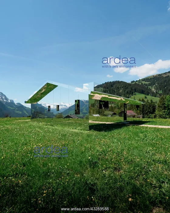  : Art Gallery Mirage Gstaad, Mirror House on the mountain