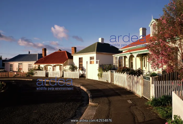 : Arthur Circus, Battery Point, Hobart, Tasmania, Australia : Arthur Circus, Battery Point, Hobart, Tasmania, Australia