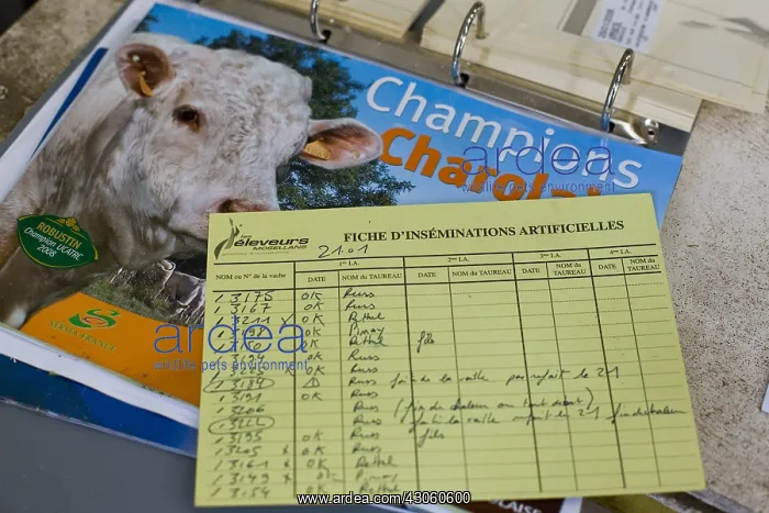 : Artificial insemination form for cows France : Artificial insemination form for cows France