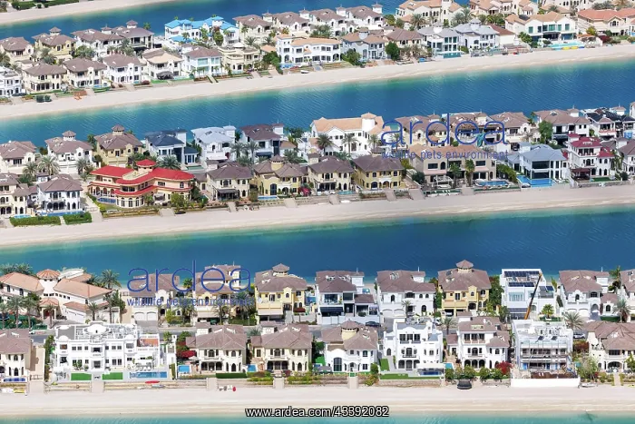 : Artificial island in the shape of a palm tree The : Artificial island in the shape of a palm tree The